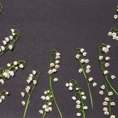 Siyah arka plan üzerine lily vadi çiçek çiçek sınır. Sevgililer, kadın ya da anneler günü, düğün, bahar ya da yaz konsepti. Düz yatıyordu, en iyi görünüm, kopya alanı