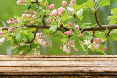 Empty wooden table with spring background of blossoming wild apple tree. Mock up for display or montage products clipart