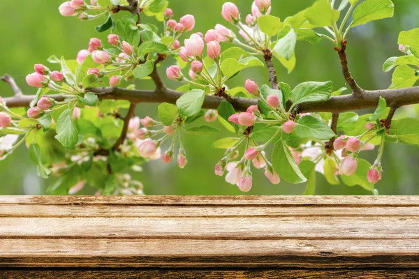 Mesa Madeira Vazia Com Fundo Primavera Árvore Maçã Selvagem Florescente — Fotografia de Stock