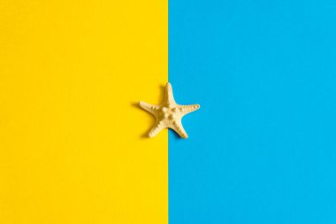 Yaz kompozisyon en az tarzı. Mavi ve sarı Kağıt arka plan üzerinde deniz yıldızı. Yat, uzay, üstten görünüm Kopyala