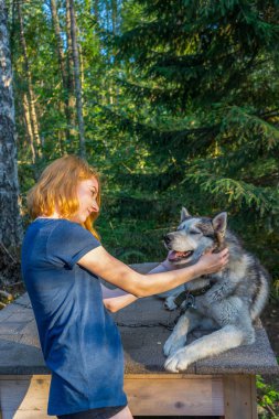 Güzel genç bir bayanla Sibirya hasky doğurmak batımında yaz ormandaki onun sevimli şirin köpek. Mutlu genç kız ve evde beslenen hayvan. Otantik yaşam tarzı anlar