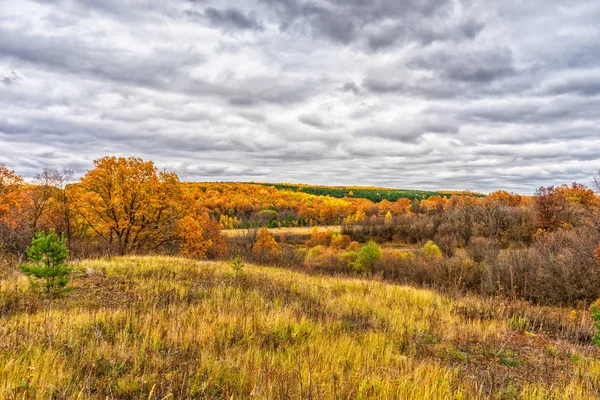 Живописный осенний пейзаж в зеленых и желтых тонах. Панорамный вид с холма на низменность с рощей и полем в пасмурный день. Красочная осенняя природа, красивый природный фон — стоковое фото