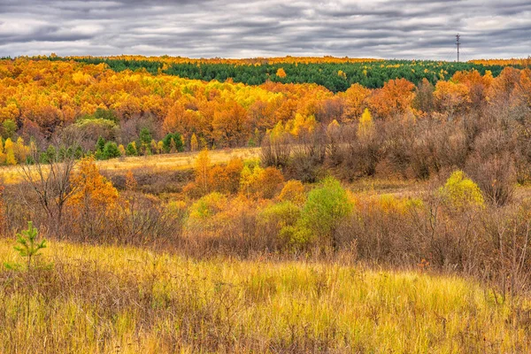 Γραφικό φθινοπωρινό τοπίο σε πράσινο και κίτρινο χρώμα. Πανοραμική θέα από λόφο σε πεδινό με άλσος και πεδίο σε συννεφιασμένη μέρα. Πολύχρωμο φθινοπωρινή φύση, όμορφο φυσικό υπόβαθρο — Φωτογραφία Αρχείου