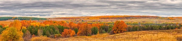 Pittoreska höstlandskap i gröna och gula färger. Panoramautsikt från kulle till lågland med lund och fält i molnig dag. Färgglada höst natur, vacker naturlig bakgrund — Stockfoto