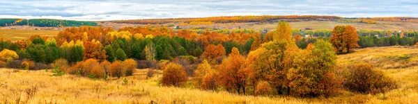 Pittoreska höstlandskap i gröna och gula färger. Panoramautsikt från kulle till lågland med lund, by och fält på mulen dag. Färgglada höst natur, vacker naturlig bakgrund — Stockfoto