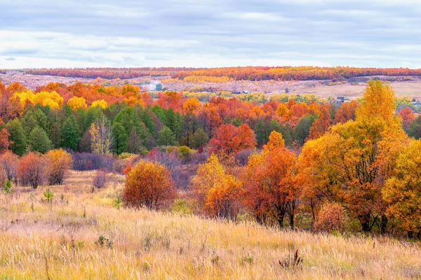 Pittoreska höstlandskap i gröna och gula färger. Panoramautsikt från kulle till lågland med lund, by och fält på mulen dag. Färgglada höst natur, vacker naturlig bakgrund — Stockfoto