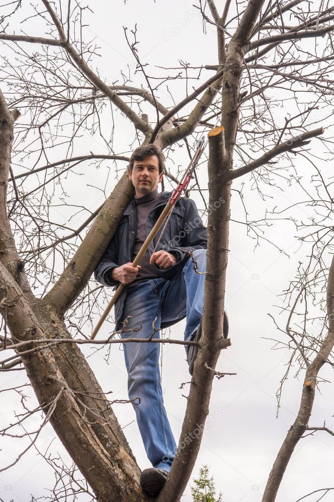 Man climbing high on an apple tree with pruner against sky. Pruning of fruit trees with lopper. Spring or autumn work in garden. Gardening concept