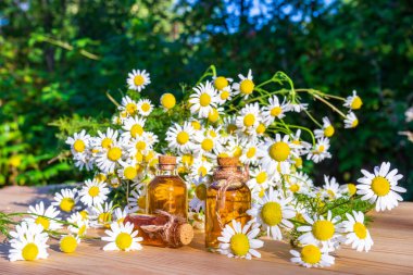 Papatya yağı, bahçedeki ahşap masada papatya çiçekleri olan küçük cam şişelerde. Aromaterapi, fitoterapi, alternatif tıp, spa ve masaj konsepti.