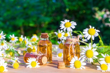 Papatya yağı, bahçedeki ahşap masada papatya çiçekleri olan küçük cam şişelerde. Aromaterapi, fitoterapi, alternatif tıp, spa ve masaj konsepti.