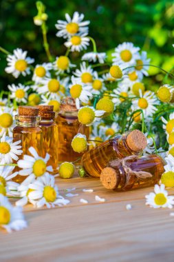 Papatya yağı, bahçedeki ahşap masada papatya çiçekleri olan küçük cam şişelerde. Aromaterapi, fitoterapi, alternatif tıp, spa ve masaj konsepti.