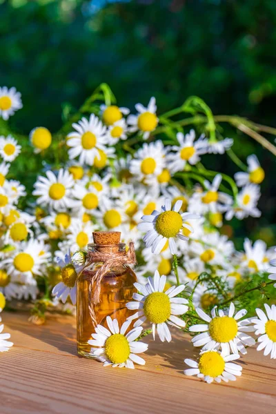 Chamomile essential oil in small glass bottle with camomile daisy flowers on wooden table in garden. Aromatherapy, phytotherapy, alternative medicine, spa and massage concept.