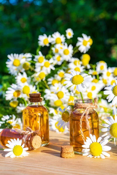 Chamomile essential oil in small glass bottles with camomile daisy flowers on wooden table in garden. Aromatherapy, phytotherapy, alternative medicine, spa and massage concept.