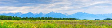 Tepeleri olan panoramik yaz manzarası, yeşil çimenli vadi, orman ve bulutlu gökyüzü. Metin için alanı olan doğal bir arkaplan. Doğu Sayan, Tunka Ulusal Parkı, Buryatia, Rusya.