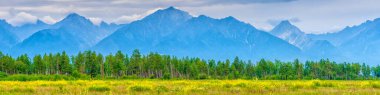 Tepeleri olan panoramik yaz manzarası, yeşil çimenli vadi, orman ve bulutlu gökyüzü. Metin için alanı olan doğal bir arkaplan. Doğu Sayan, Tunka Ulusal Parkı, Buryatia, Rusya.