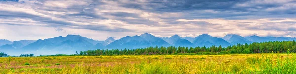 Panoramic Summer Landscape Mountain Range Peaks Valley Green Grass Grove — Stock Photo, Image