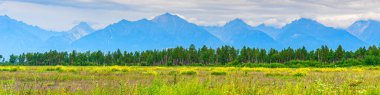 Tepeleri olan panoramik yaz manzarası, yeşil çimenli vadi, orman ve bulutlu gökyüzü. Metin için alanı olan doğal bir arkaplan. Doğu Sayan, Tunka Ulusal Parkı, Buryatia, Rusya.