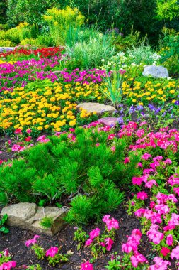 Yazın güneşli akşamlarda kamu bahçesinde güzel bir manzara tasarımı. Şehir parkındaki çiçek tarhında dekoratif bitkiler ve taşlar. Uyumlu çevre uzay kavramı.