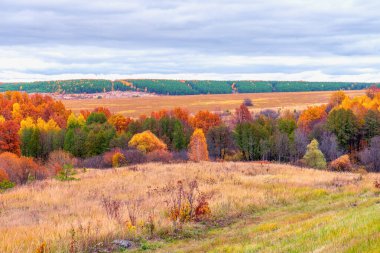Yeşil ve sarı renkli resimli sonbahar manzarası. Bulutlu bir günde tepeden ovaya panoramik manzara. Renkli sonbahar doğası, güzel doğal arkaplan.