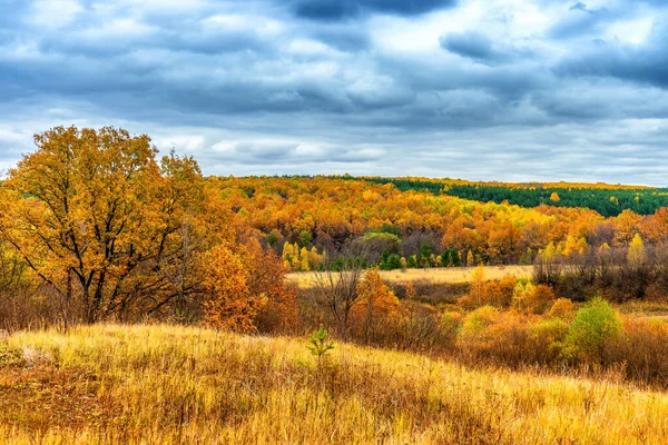 Paisagem Outono Pitoresca Cores Verde Amarelo Vista Panorâmica Colina Para — Fotografia de Stock