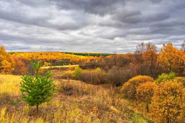 Pittoreska Höstlandskap Gröna Och Gula Färger Panoramautsikt Från Kulle Till — Stockfoto