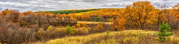 Pittoreska Höstlandskap Gröna Och Gula Färger Panoramautsikt Från Kulle Till — Stockfoto