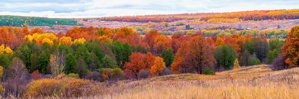 Живописный Осенний Пейзаж Зеленых Желтых Тонах Панорамный Вид Холма Низменность — стоковое фото