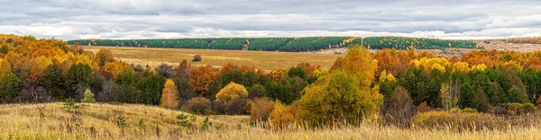 Pittoreska Höstlandskap Gröna Och Gula Färger Panoramautsikt Från Kulle Till — Stockfoto