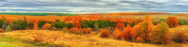 Γραφικό Φθινοπωρινό Τοπίο Πράσινο Και Κίτρινο Χρώμα Πανοραμική Θέα Από — Φωτογραφία Αρχείου