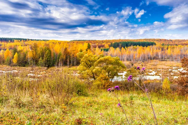 Pittoreska Höstlandskap Gyllene Och Blå Färger Utsikt Från Kulle Till — Stockfoto