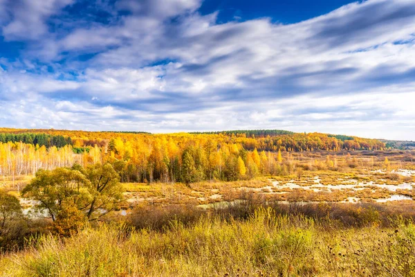 Pittoreska Höstlandskap Gyllene Och Blå Färger Utsikt Från Kulle Till — Stockfoto