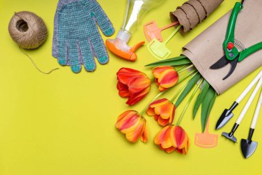 Taze laleler, fidanlıklar, ip yumağı, bahçe aletleri ve hafif pastel arka planda eldivenler. Yaratıcı kompozisyon. Bahçıvanlık, bahar işi konsepti. Düz konum, üst görünüm, kopyalama alanı.