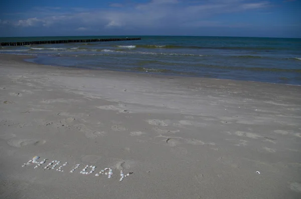 Happy holiday, inscription from shells on the sea shore. White sand and blue sea.