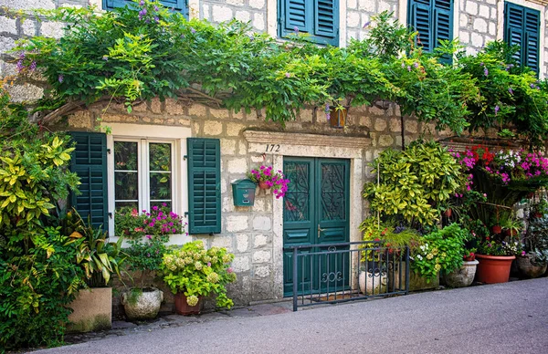 Budva Montenegro Agosto Casa Tradicional Con Flores Kotor Bay Montenegro —  Fotos de Stock