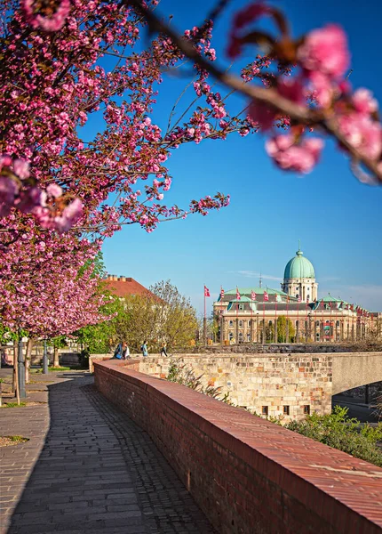 Incredibile Paesaggio Urbano Primaverile Nel Quartiere Del Castello Buda Budapest — Foto Stock