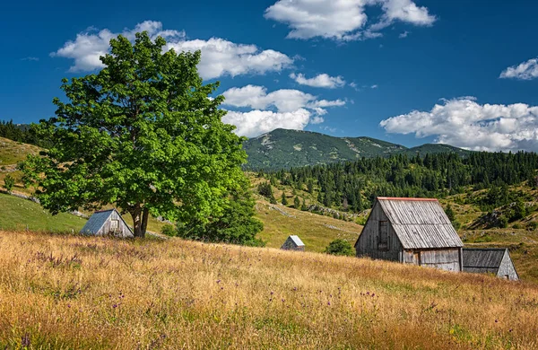 Sat Frumos Case Din Lemn Munții Muntenegrului — Fotografie, imagine de stoc