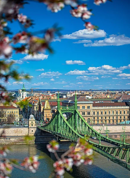 Budapest Maďarsko Března 2020 Krásný Most Svobody Mandlovými Květy Budapešti — Stock fotografie