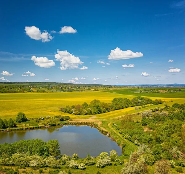 Ładne Jezioro Błękitnym Niebem Żółtym Kwiatem — Zdjęcie stockowe