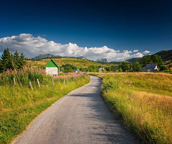 Frumoasă Casă Rurală Flori Roz — Fotografie, imagine de stoc