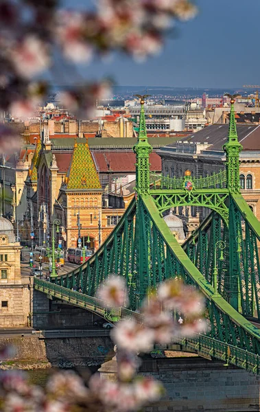 Budapest Hungría Marzo 2020 Hermoso Puente Libertad Con Flor Almendra —  Fotos de Stock