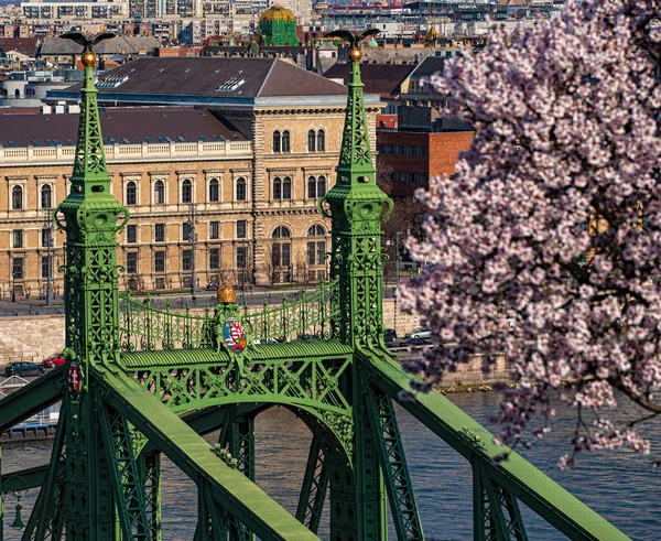 Budapest Hongarije Maart 2020 Prachtige Liberty Bridge Met Amandelbloesem Boedapest — Stockfoto