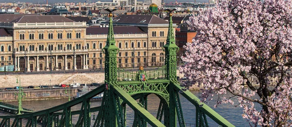 Budapest Hongarije Maart 2020 Prachtige Liberty Bridge Met Amandelbloesem Boedapest — Stockfoto