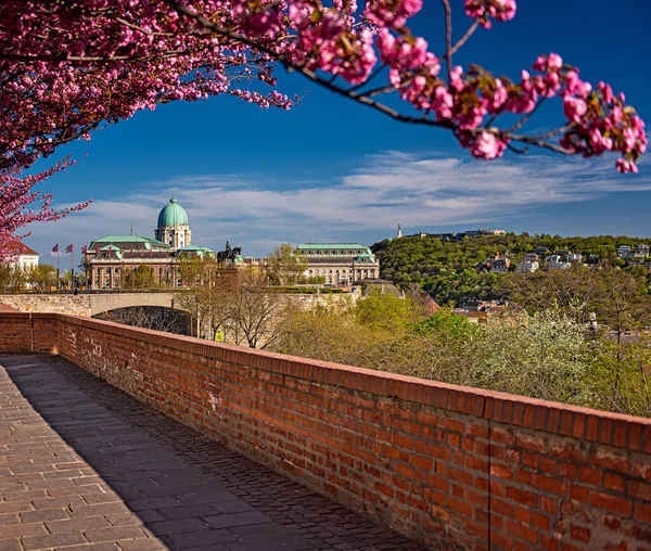 Amazing Spring Cityscape Buda Castle District Budapest Hungary — Stock Photo, Image