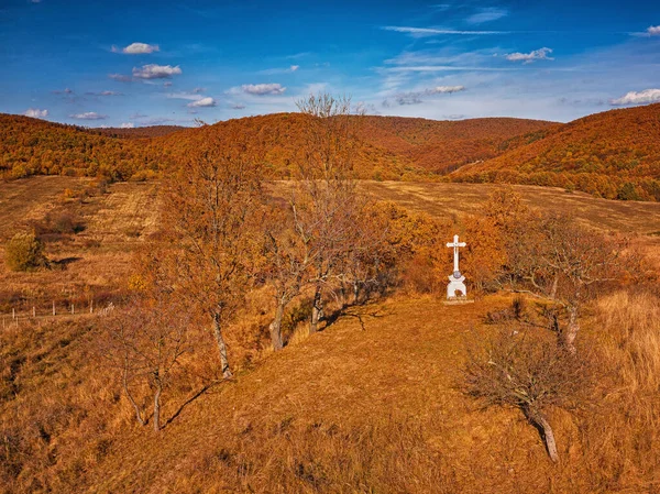 Aerial View Forest White Cross — Stock Photo, Image