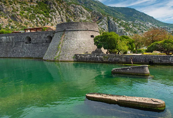 Kotor Montenegro Agosto 2019 Vista Sobre Parede Kotor Com Castelo — Fotografia de Stock