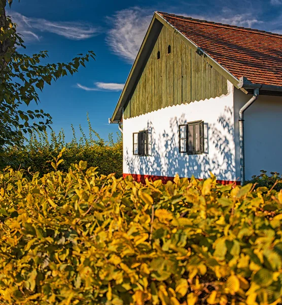 Nice Wiejski Dom Węgrzech Jesienią — Zdjęcie stockowe