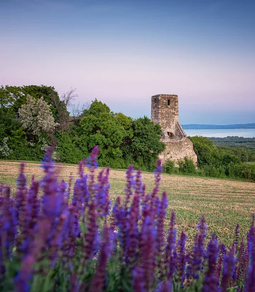 Coucher Soleil Sur Les Ruines Médiévales Temple Lac Balaton Hongrie — Photo