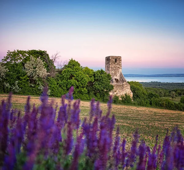 Zonsondergang Boven Middeleeuwse Ruïnes Van Een Tempel Aan Het Balatonmeer — Stockfoto