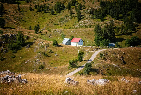 モンテネグロの山の中で木造住宅と素敵な村 — ストック写真