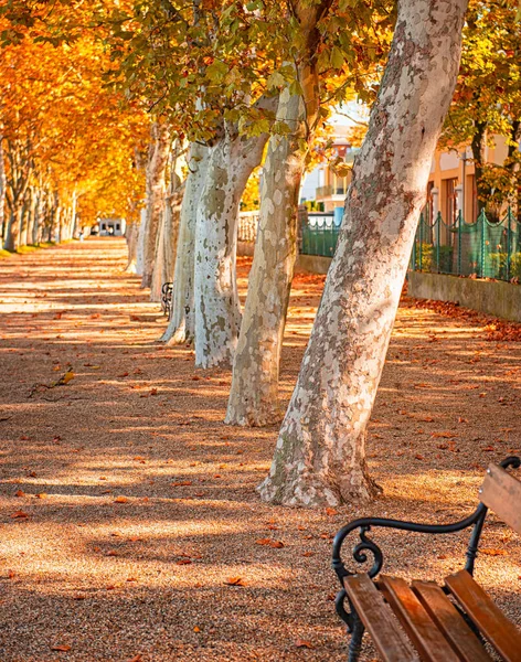 Lavička Podzimními Světly Říjnu — Stock fotografie