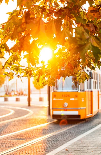 Tranvía Amarillo Tradicional Budapest Hungría — Foto de Stock